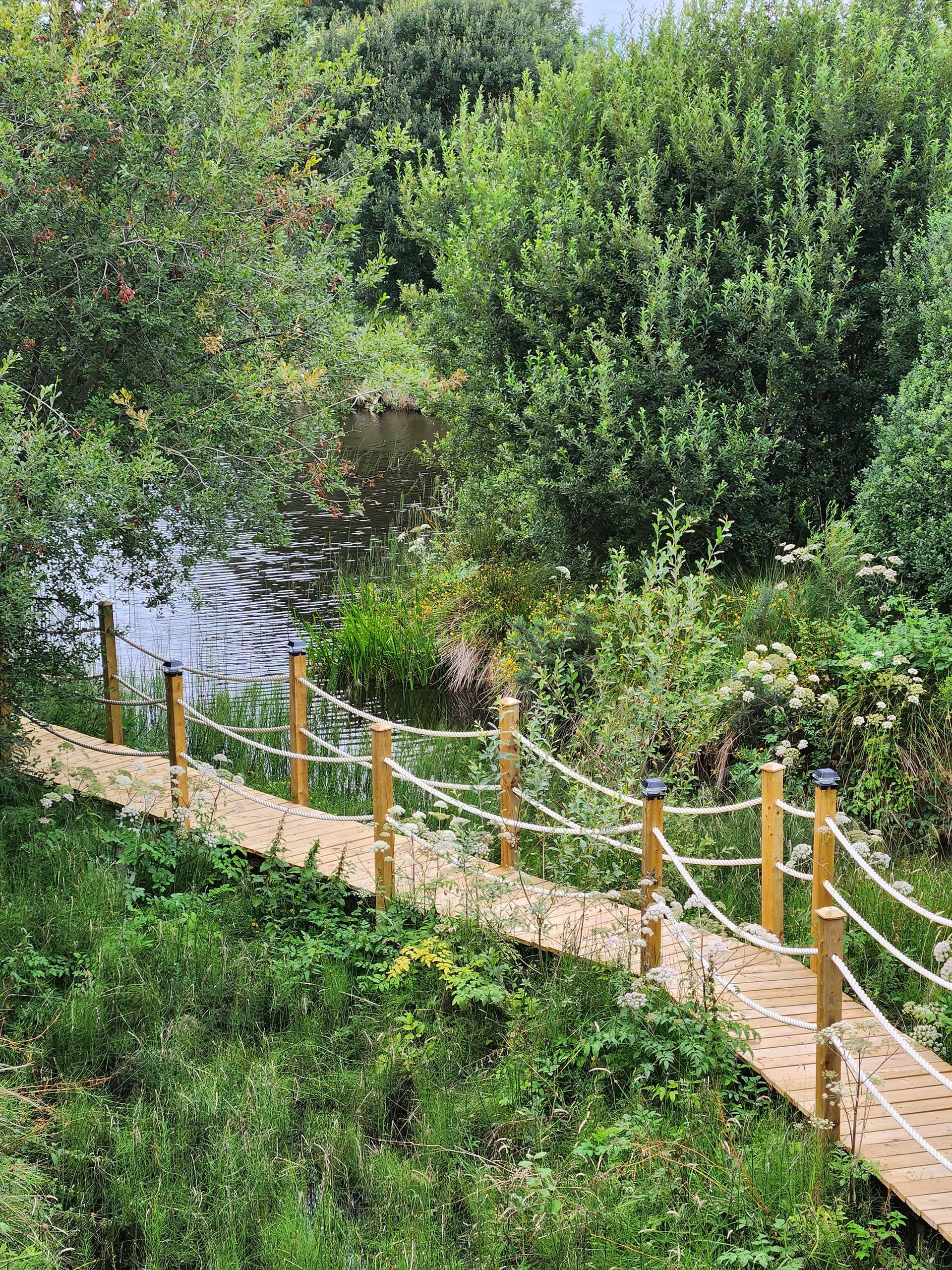 Ballyburren Outdoor Escapes Boardwalk through restored wetland