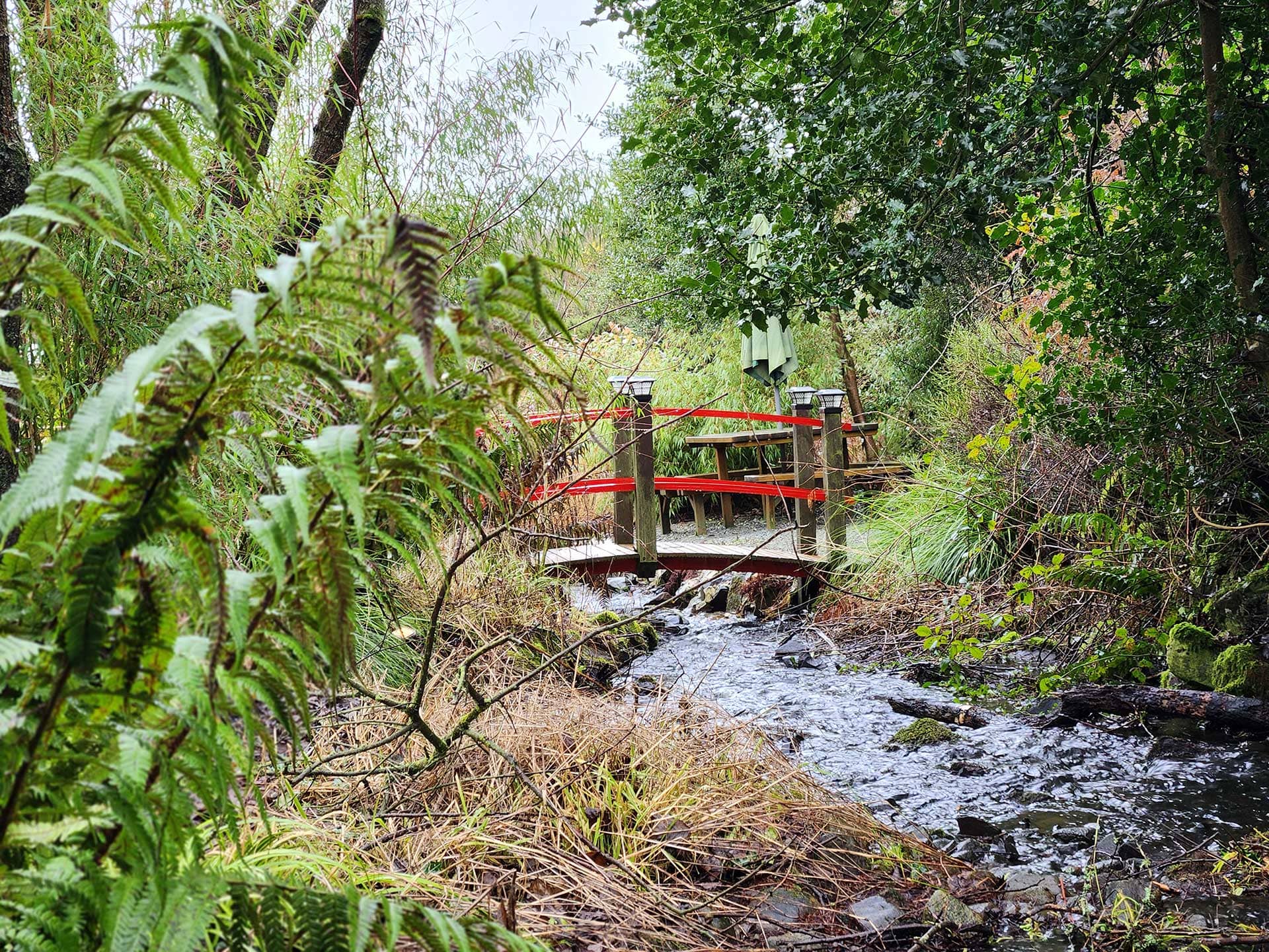 Ballyburren Outdoor Escapes Woodland stream