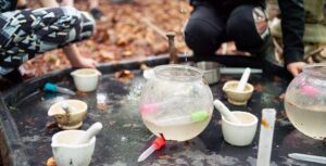 Forest School 1