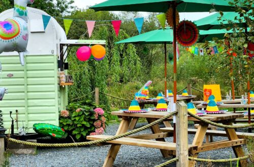 Outdoor Child Birthday Venue
