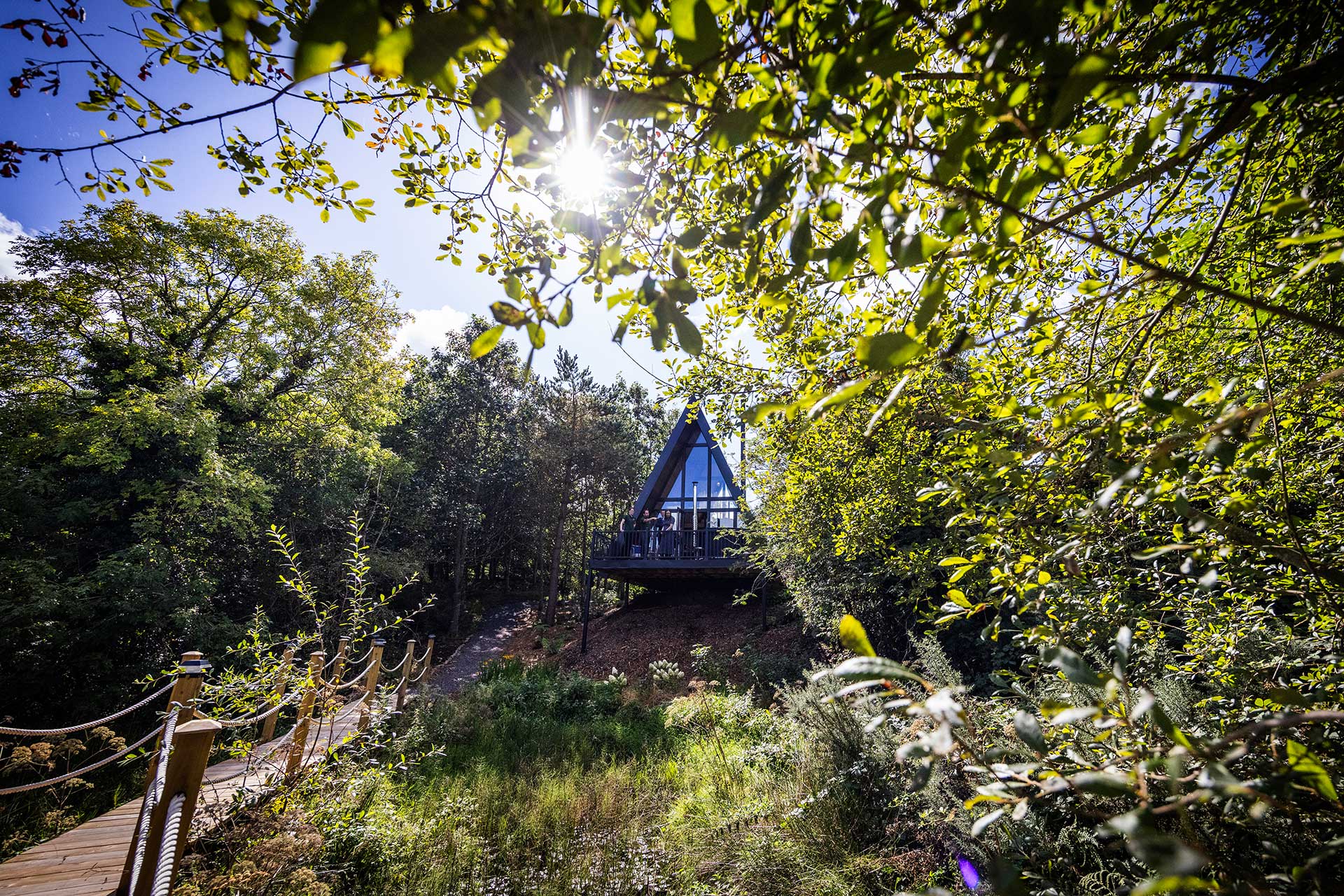 A-frame lodge in woodland