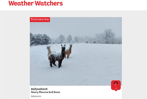 Weather Watchers
