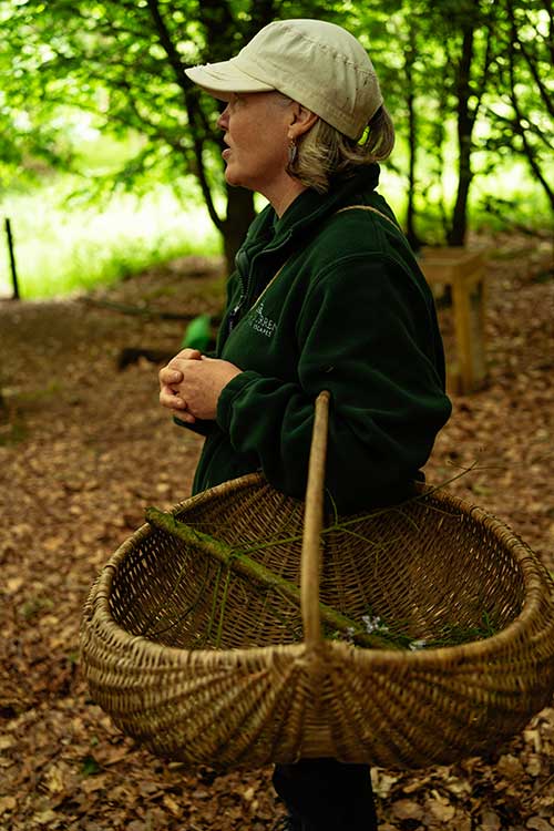 Foraging Course Northern Ireland