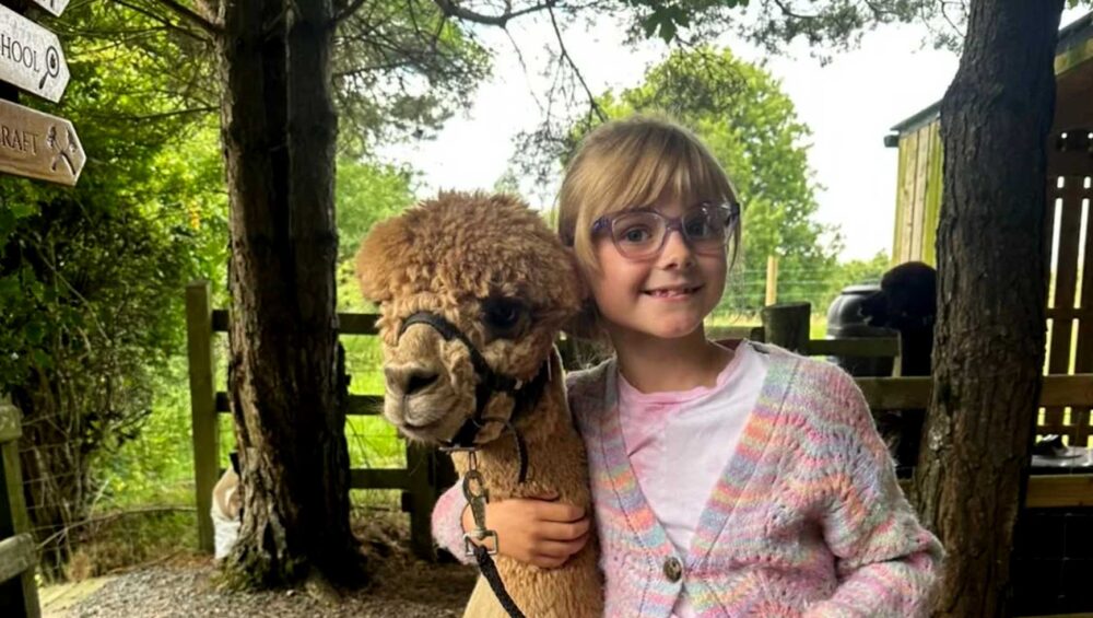 Alpaca Trekking Northern Ireland