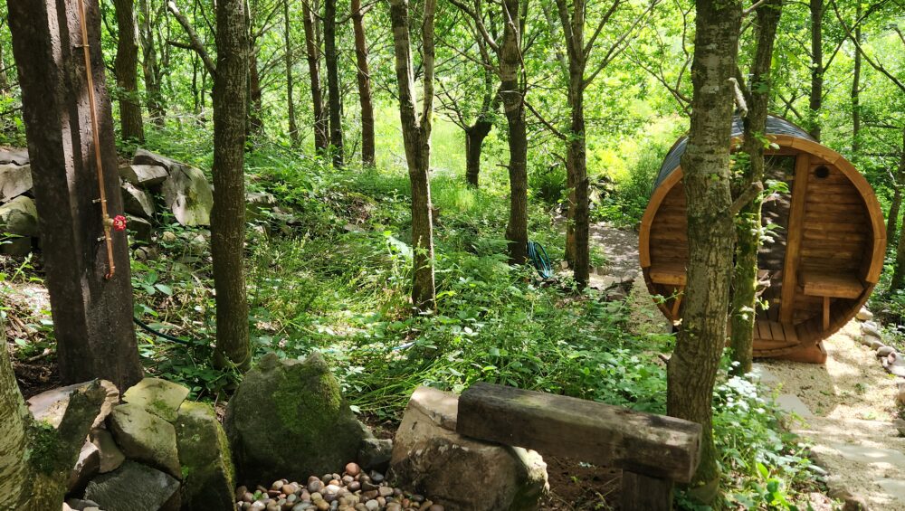 Woodland Wellness Retreat