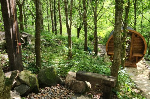 Woodland Wellness Retreat