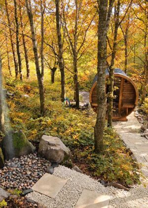 Autumn Woodland Sauna Retreat Featured